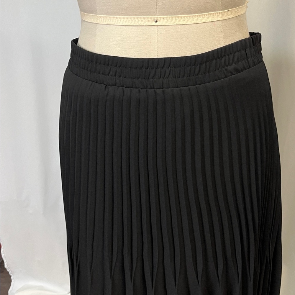 Max Studio pleated Skirt